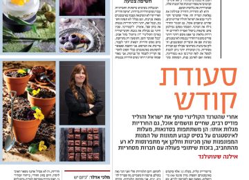 פודיז חרדים – כתבה במעריב