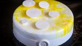מוס ווניל פסיפלורה
