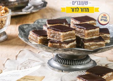 פרוייקט נוסטלגי עם בלובנד