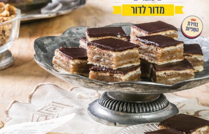 פרוייקט נוסטלגי עם בלובנד